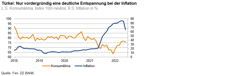 Türkei: Inflation schrumpft, tatsächlicher Druck wird verschleiert | DZ ...